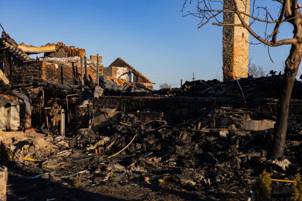 Reliable Content Restoration contractor in Plant City, FL by Fire Damage Doption